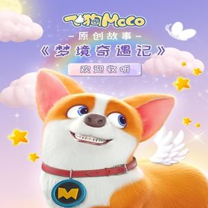 一级做ae视频片段怎么弄过软件
