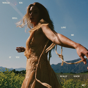 一级做ae视频片段怎么弄过软件
